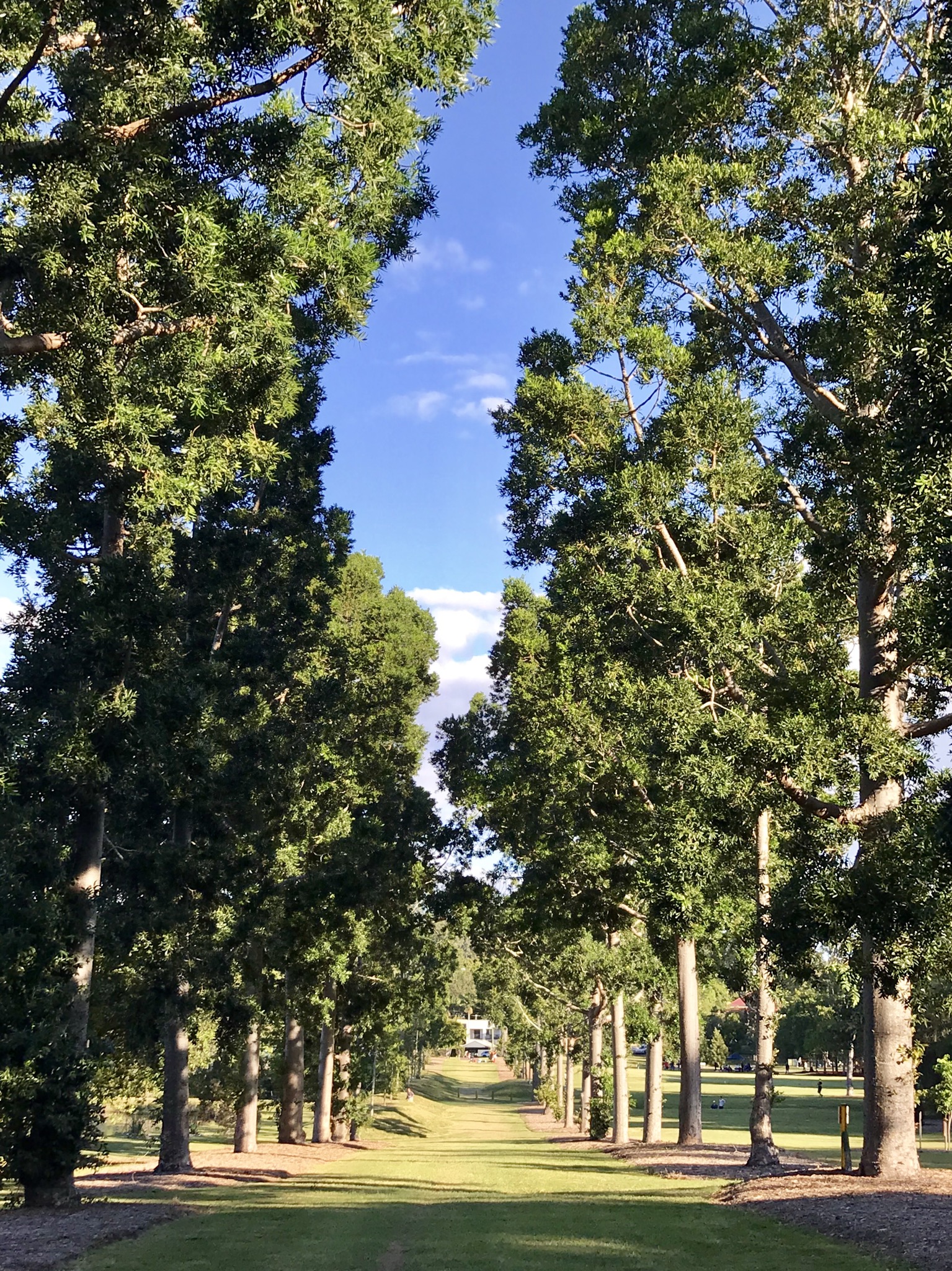 Sherwood Arboretum