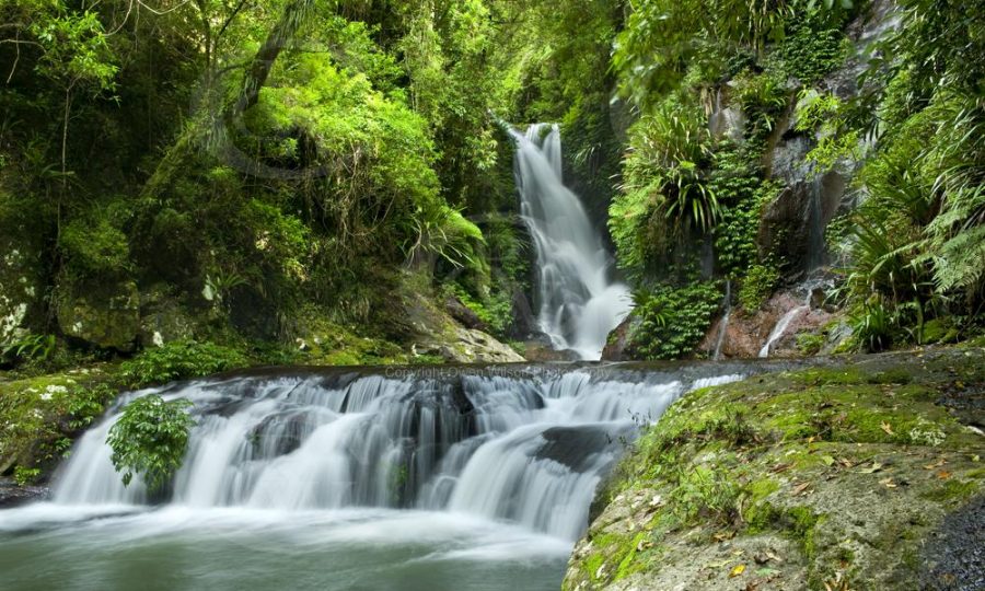 Lamington National Park 