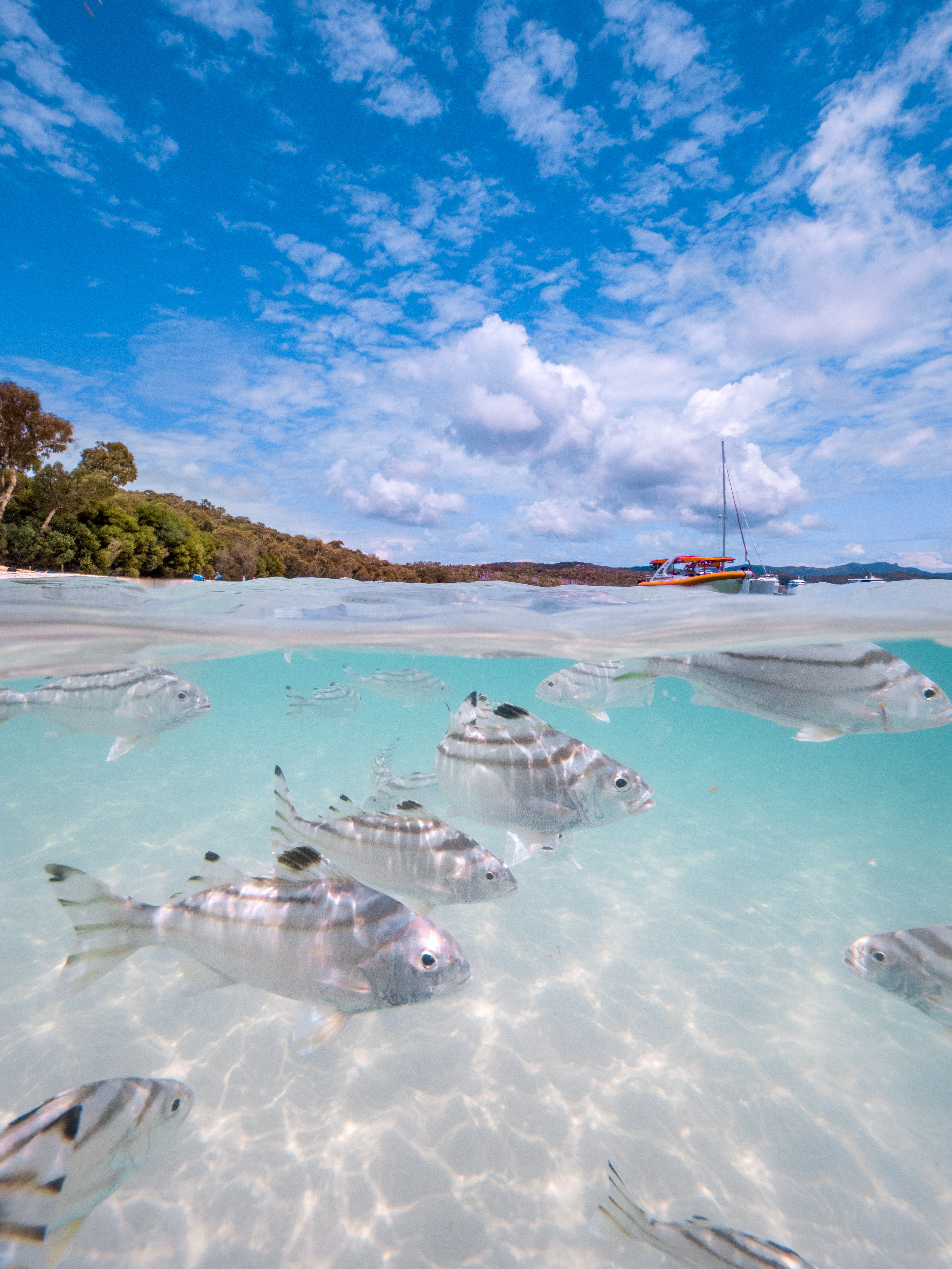 Whitehaven Beach (Image Credit: Tourism and Events Queensland)
