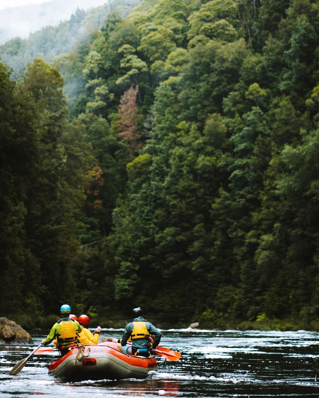 King River Rafting