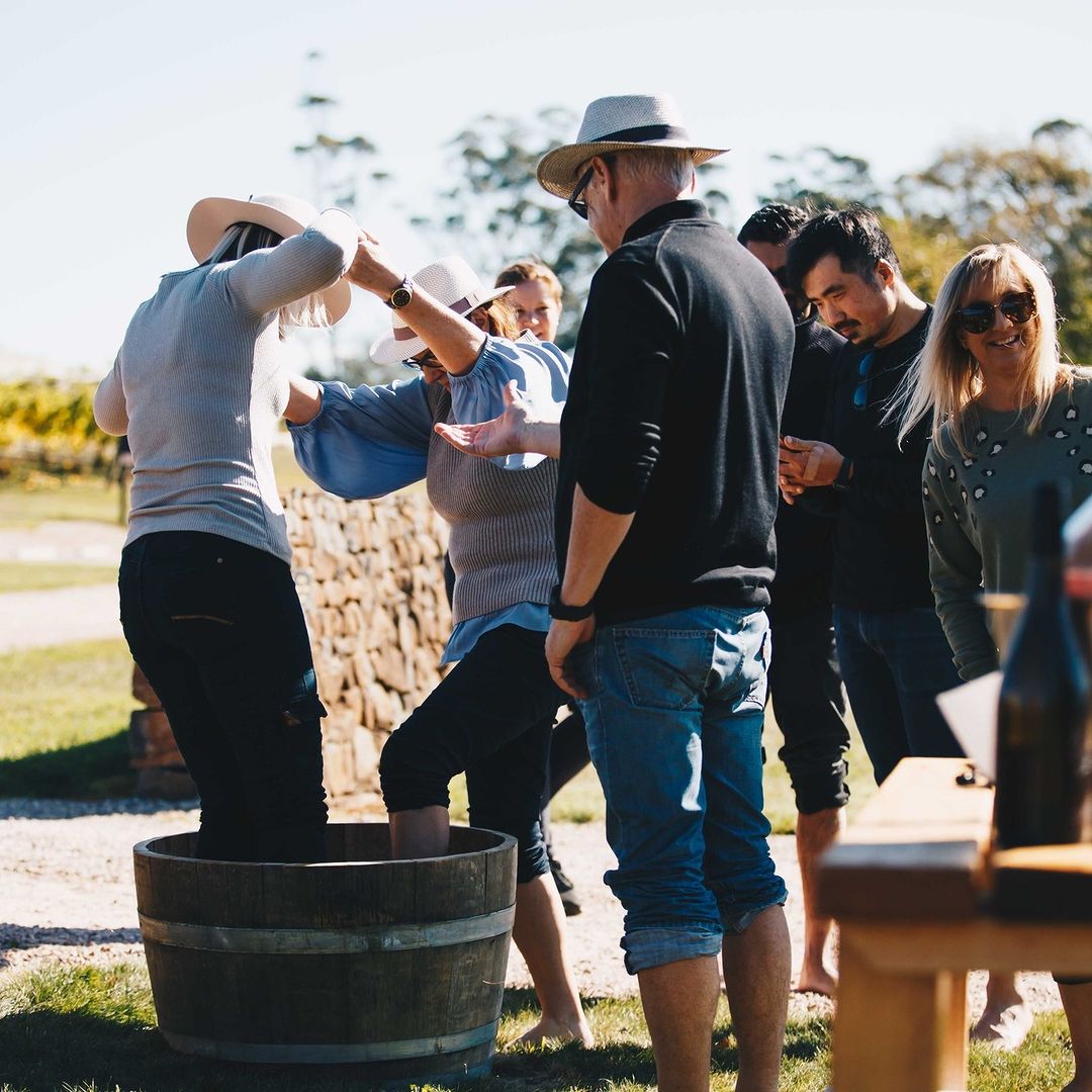 Meander Valley Vineyard (Image credit: IG meandervalleyvineyard)