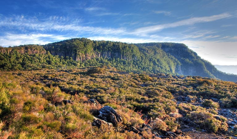 New England National Park
