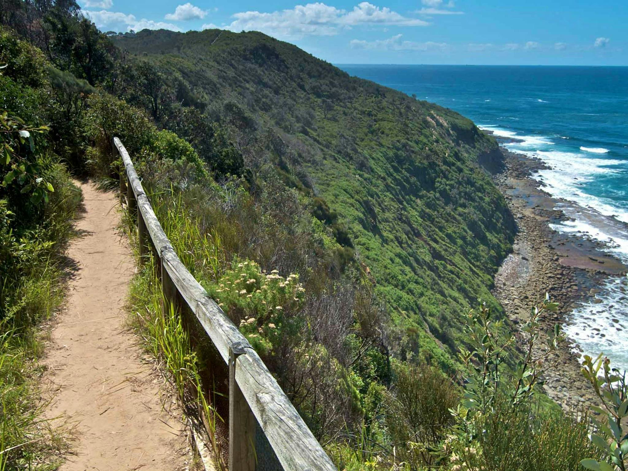 The Coast Walking Track (Image Credit: Destination NSW) 