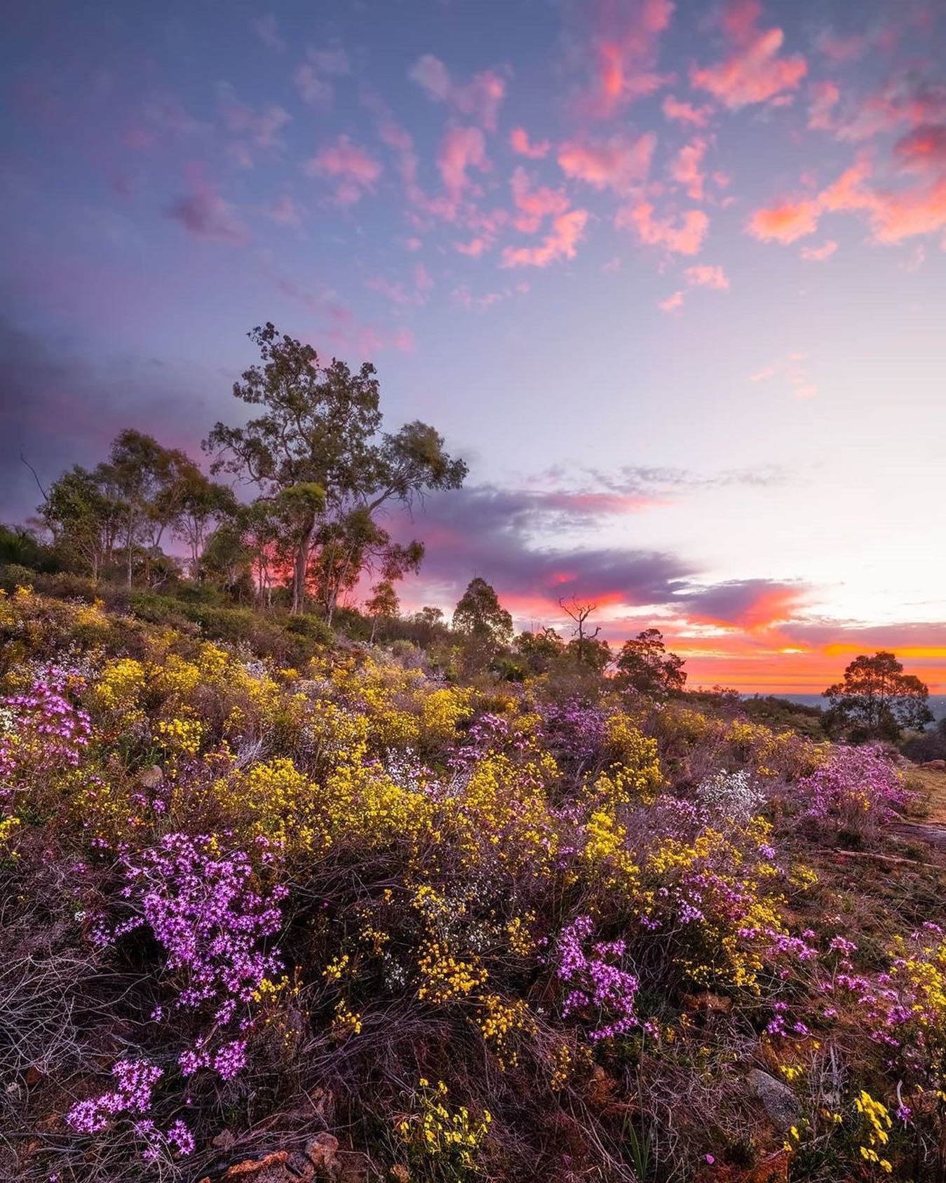 Lions Lookout Trail (Photo credit: Experience Perth Hills)