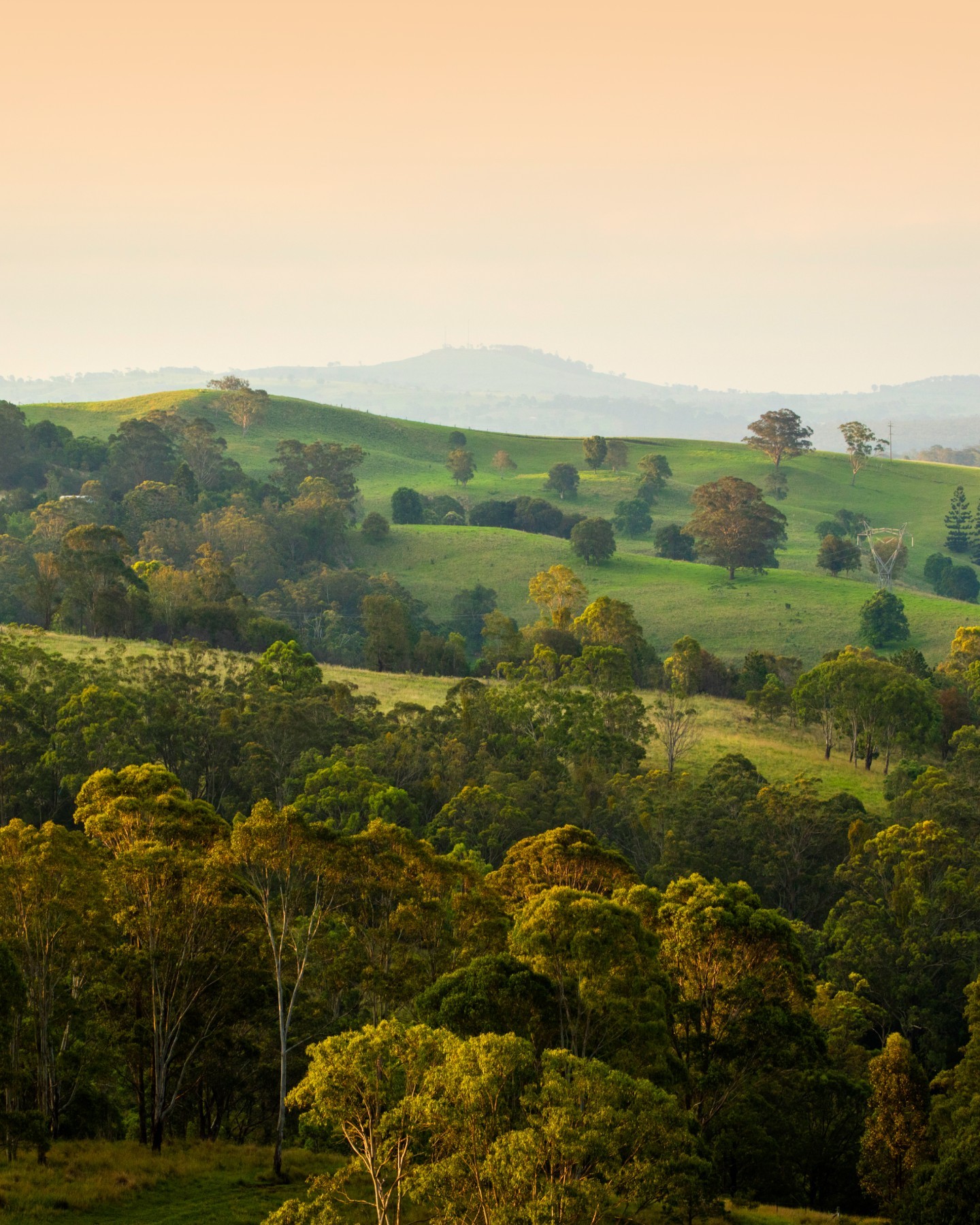 Toowoomba (Image Credit: Visit Toowoomba Region)