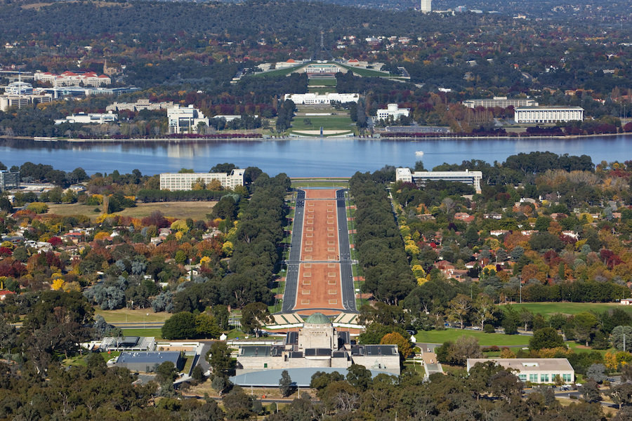Forrest (Image Credit: Andrew Watson via Getty Images)