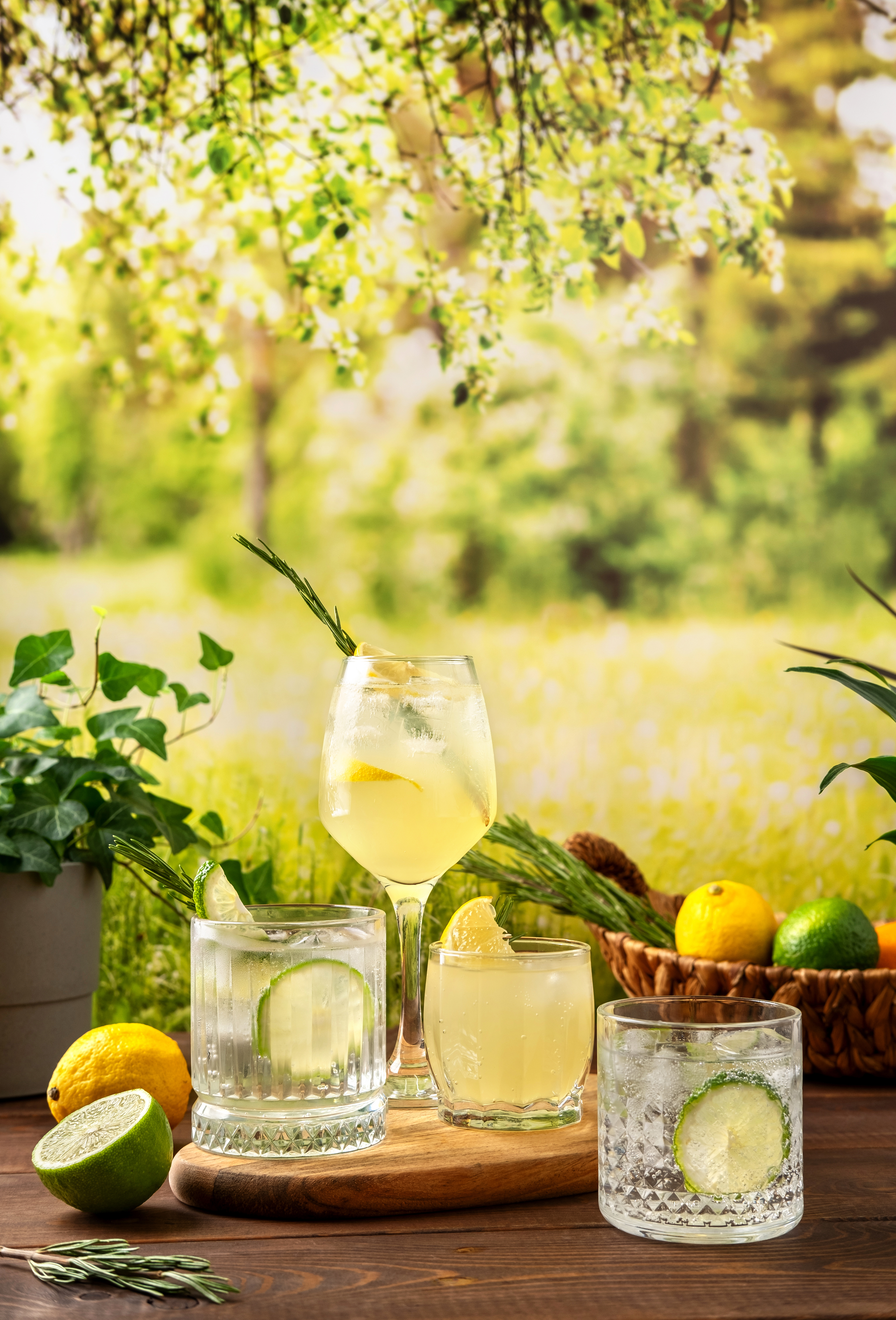 Image Credit: Shutterstock