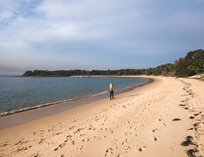 Jibbon Beach Loop Track 