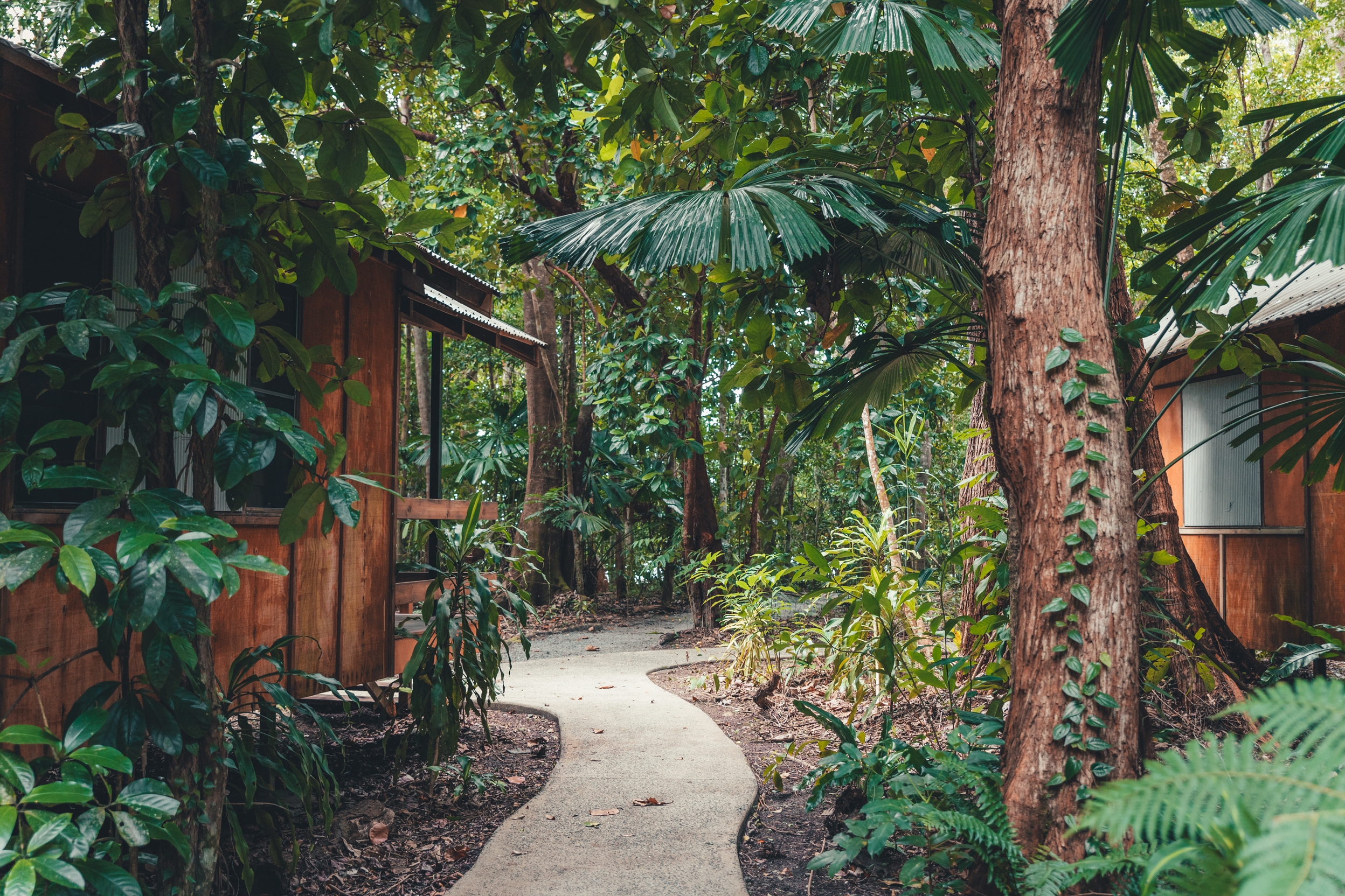 Cape Trib Beach House (Image Credit: Tourism Tropical North Queensland) 