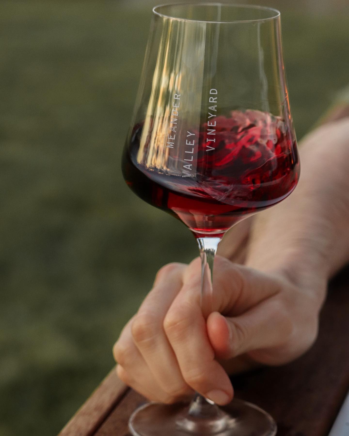 Meander Valley Vineyard (Image Credit: IG @meandervalleyvineyard)