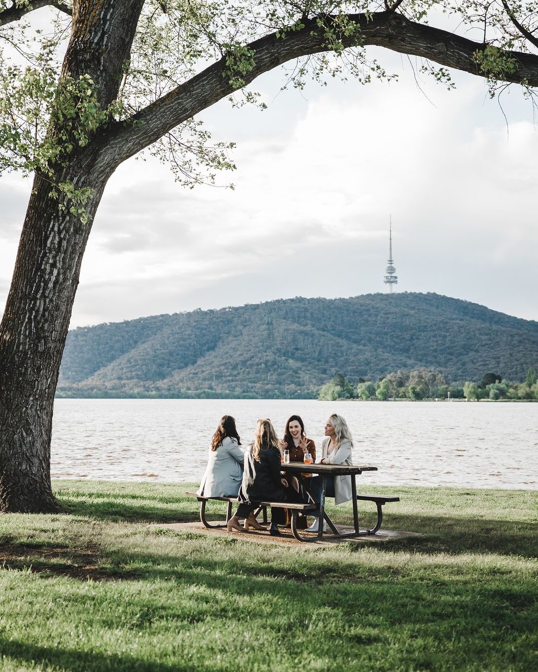 Snapper and Co Yarralumla