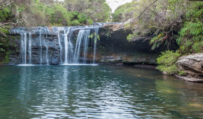 Carrington Falls 
