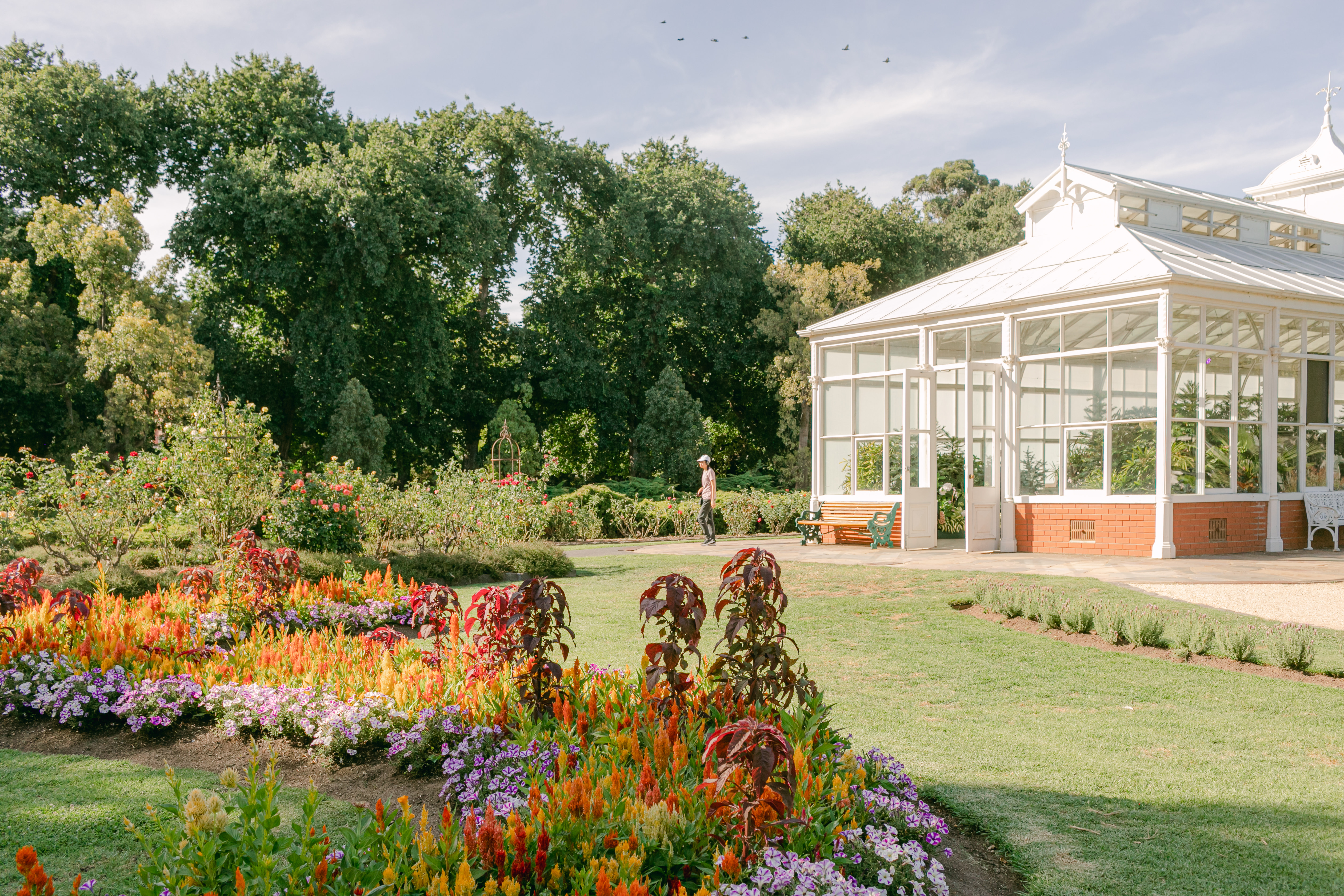 Rosalind Park