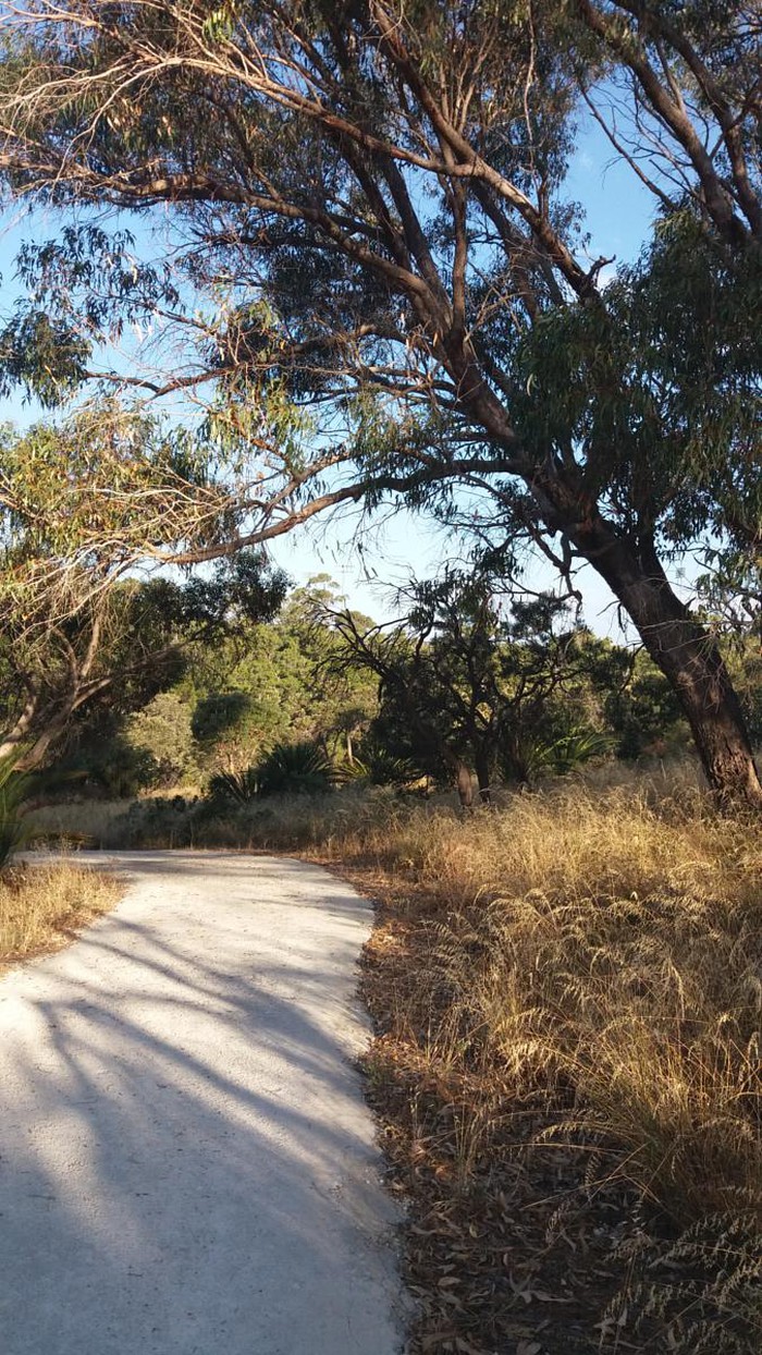 Zamia Trail (Image Credit: WikiLoc)