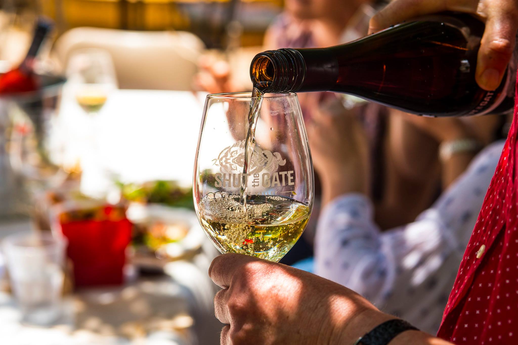 Shut The Gate Wines
