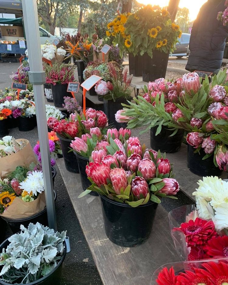 Southside Farmers Markets