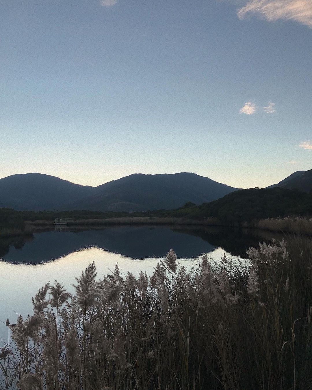 Tidal River Campground (Image credit: @anniyorates)