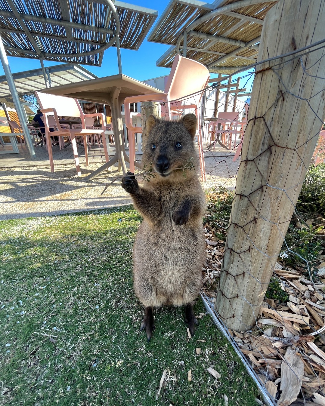 Rottnest Island (Photo credit: Pinky's Rottnest)