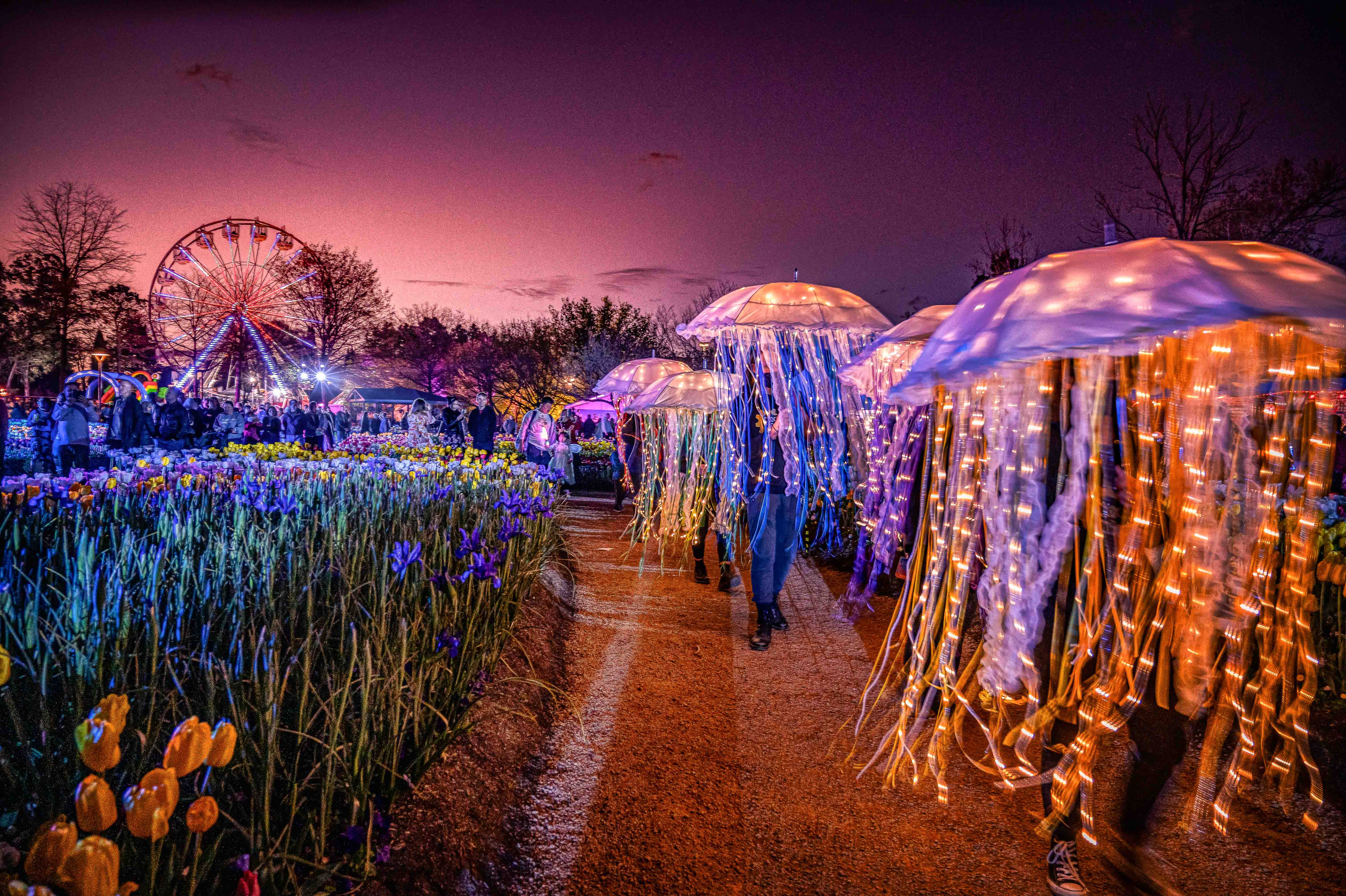 Floriade (Image Credit: Visit Canberra)
