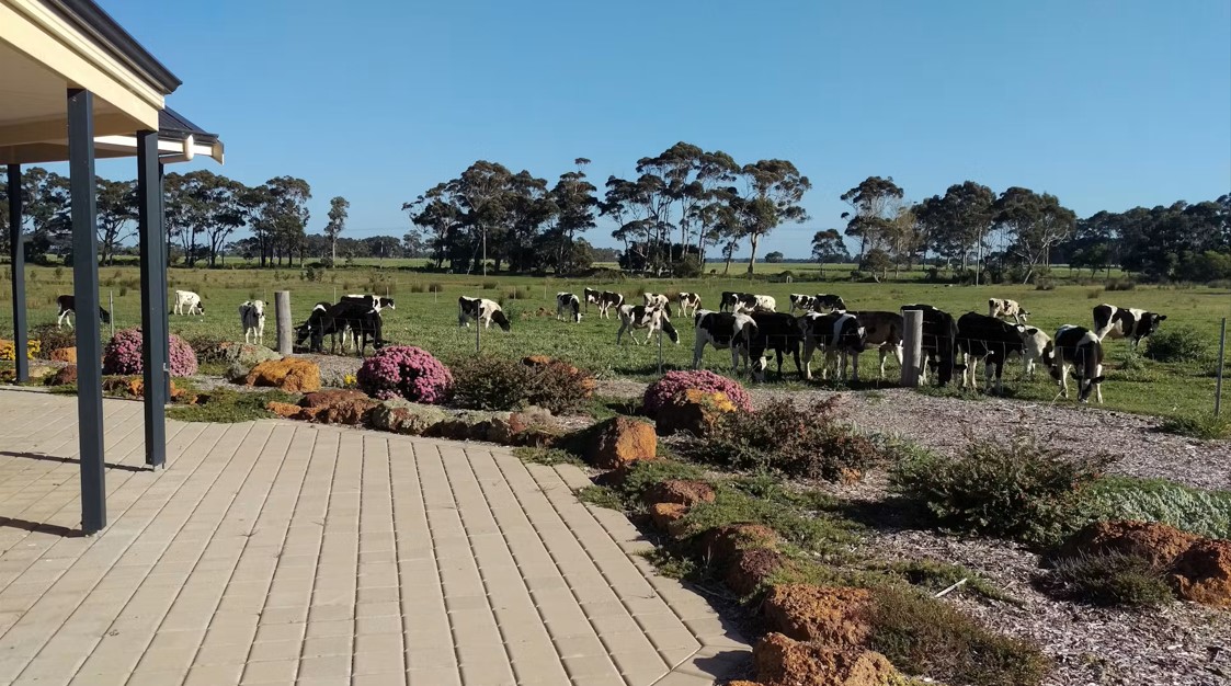 Redgate Forest Retreat