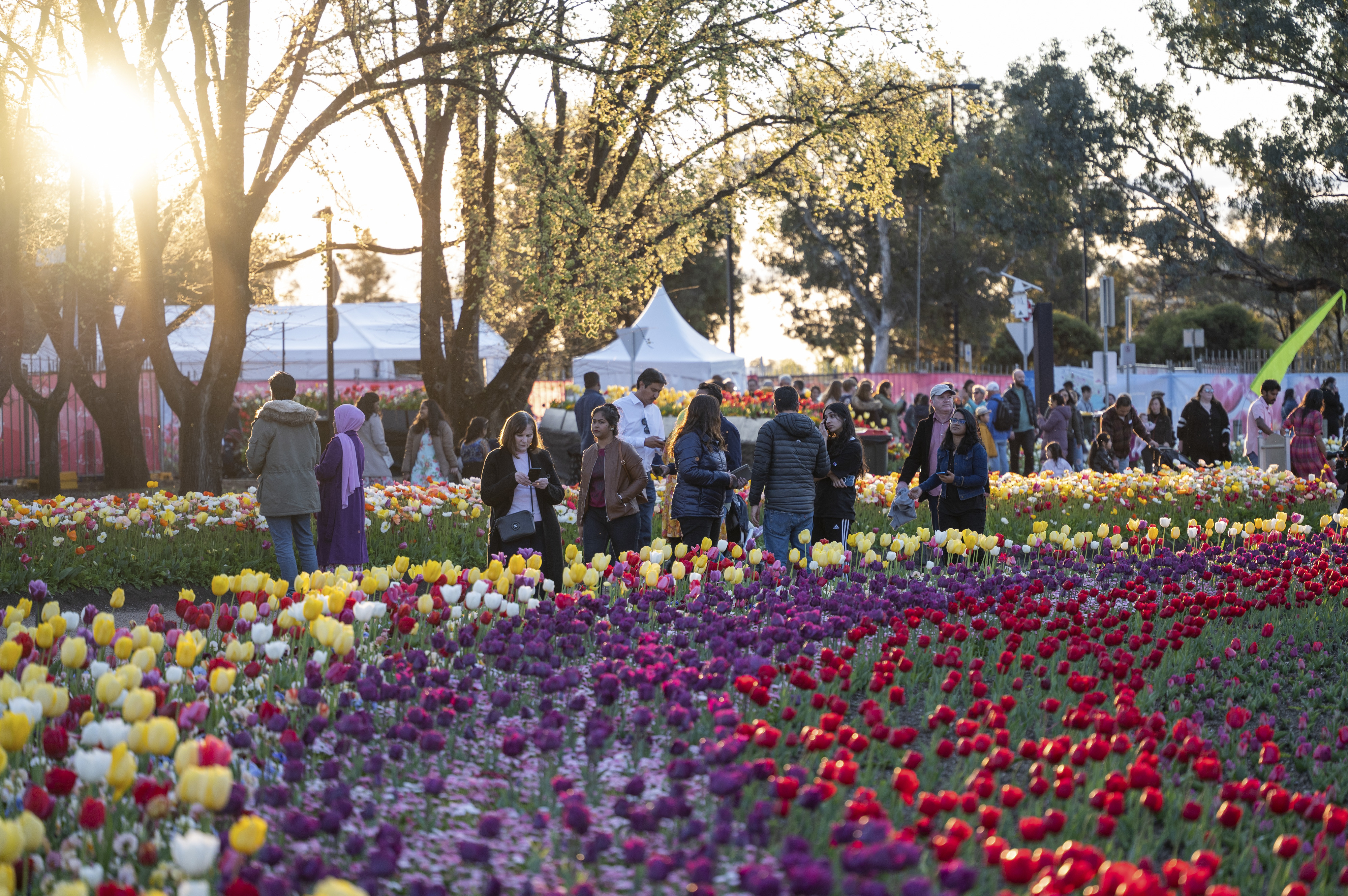 Commonwealth Park, Visit Canberra 