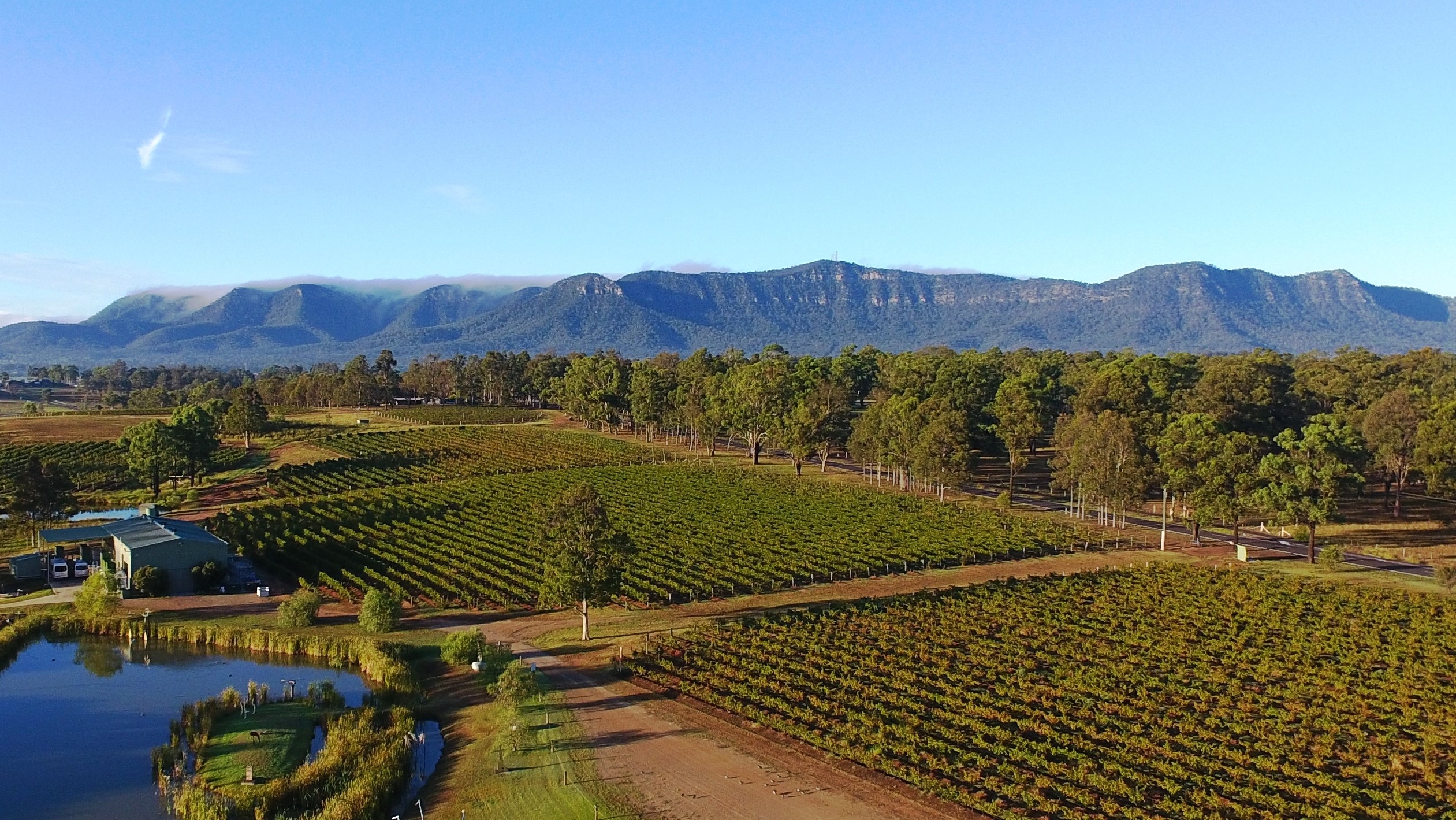 The Hunter Valley