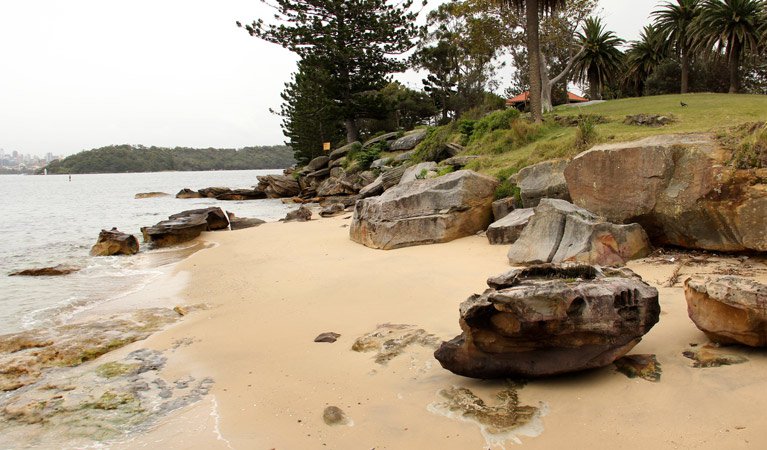Shark Island
