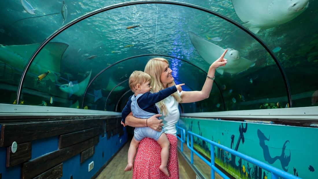 SEA LIFE Sydney Aquarium 