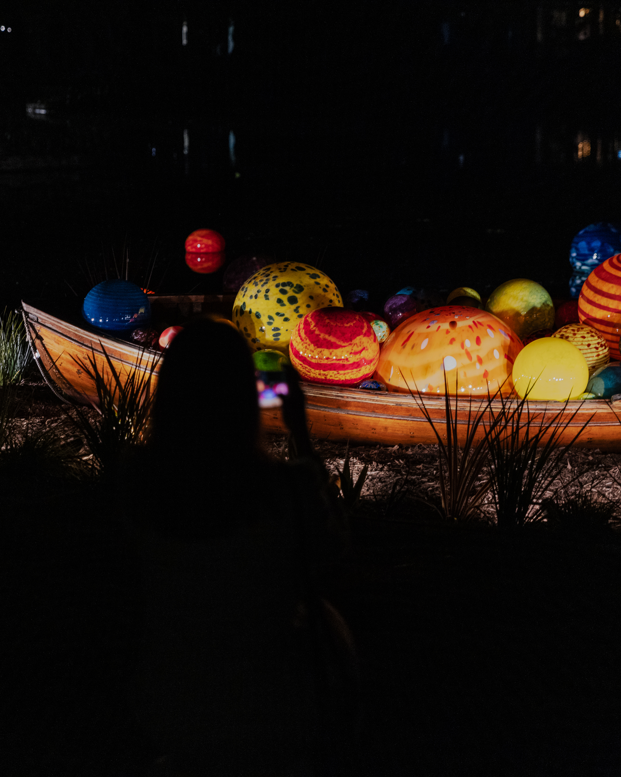 Chihuly (Image Credit: Supplied - Daisy Buckland, Sassafras PR)