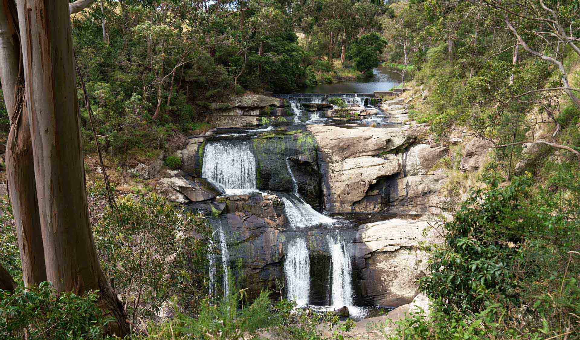 Agnes Falls (Image Credit: Parks Victoria)