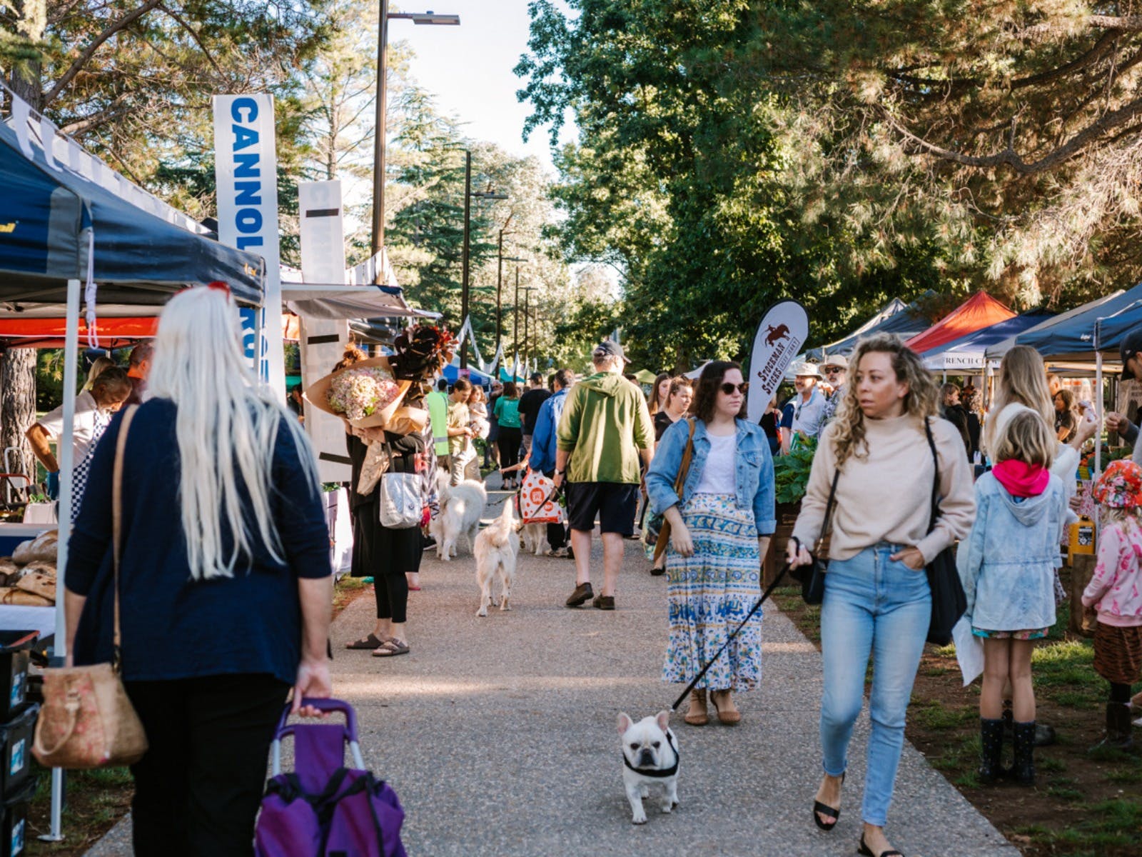 Haig Village Park Market
