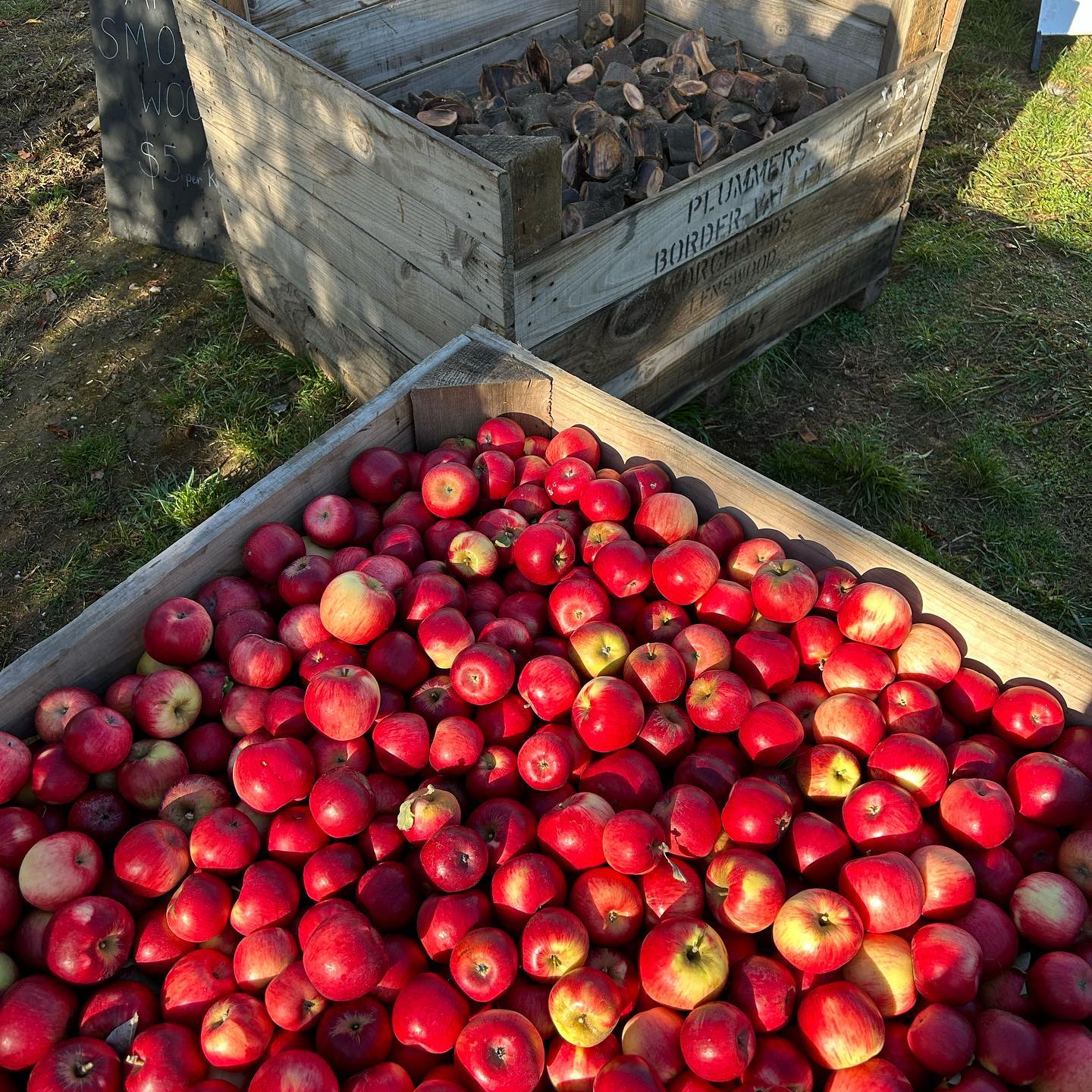@Lenswood Pick Your Own