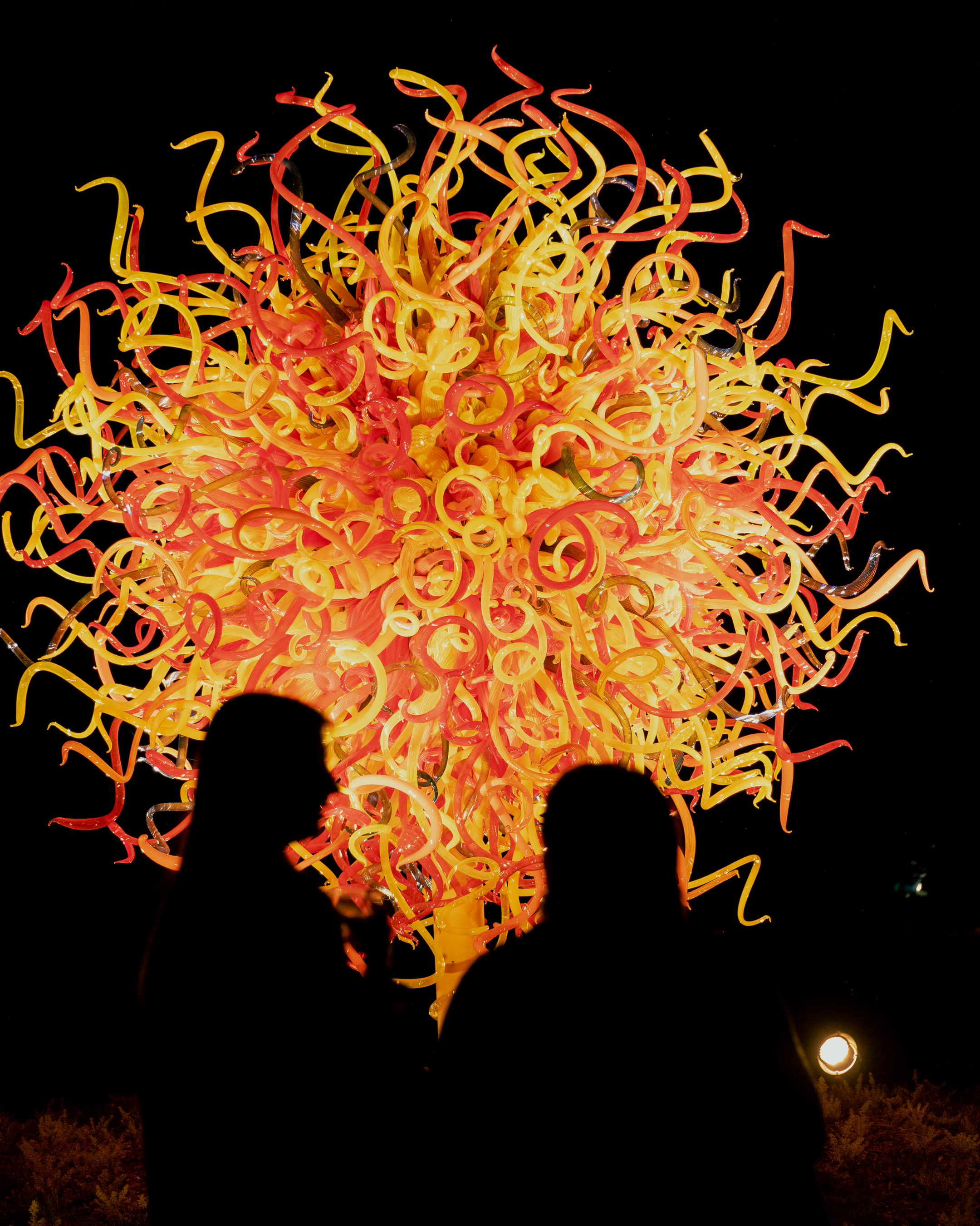 Chihuly (Image Credit: Supplied - Daisy Buckland, Sassafras PR)
