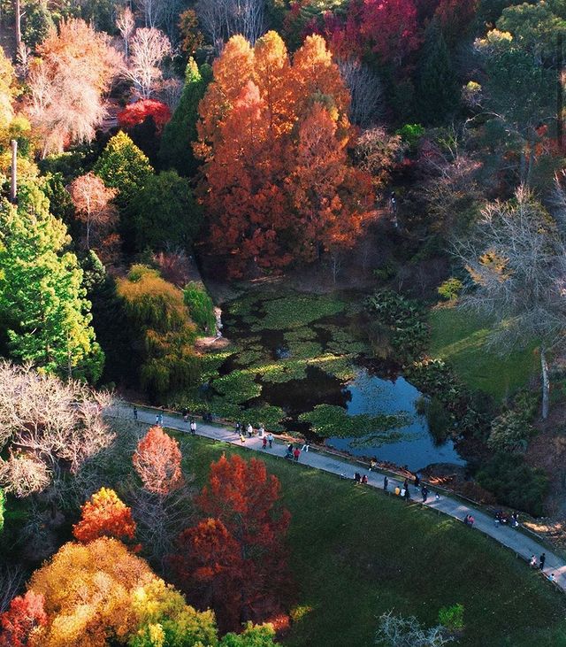 Mount Lofty Botanic Garden