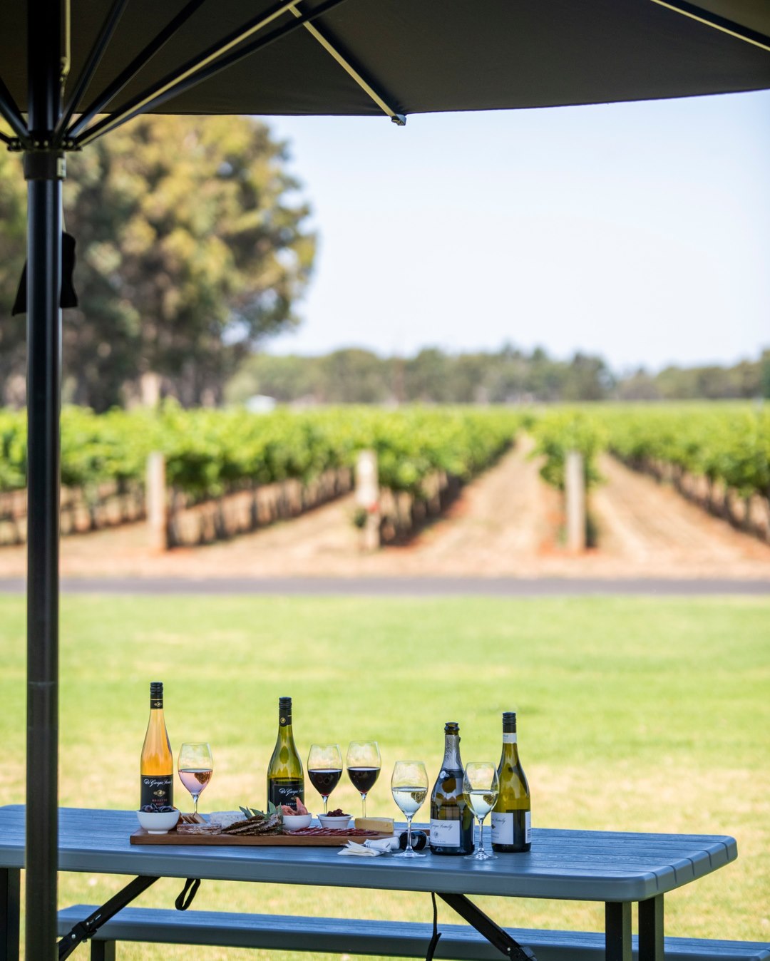 Di Giorgio Family Wines