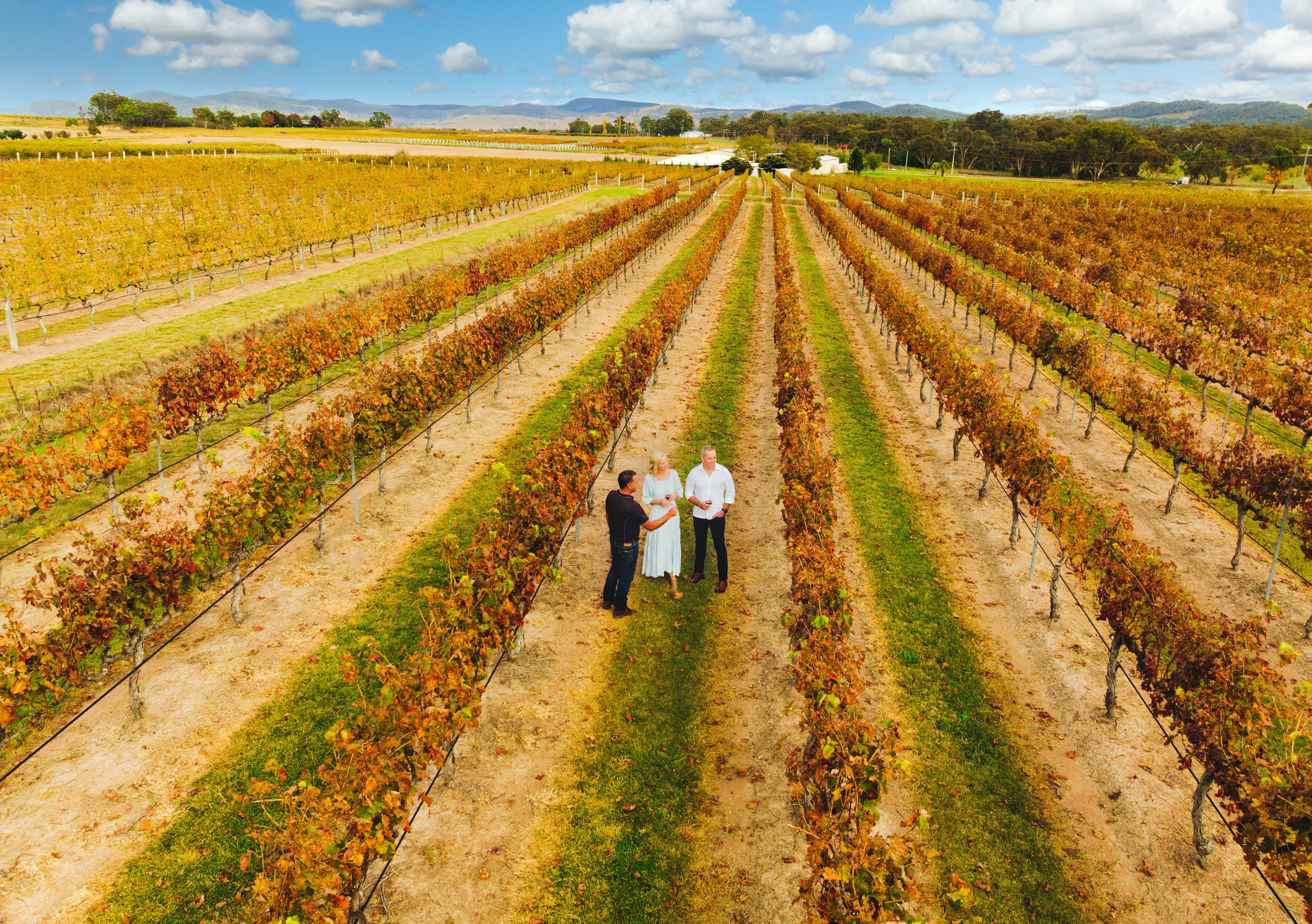 Tobin Wines (Photo credit: Tourism and Events Queensland)