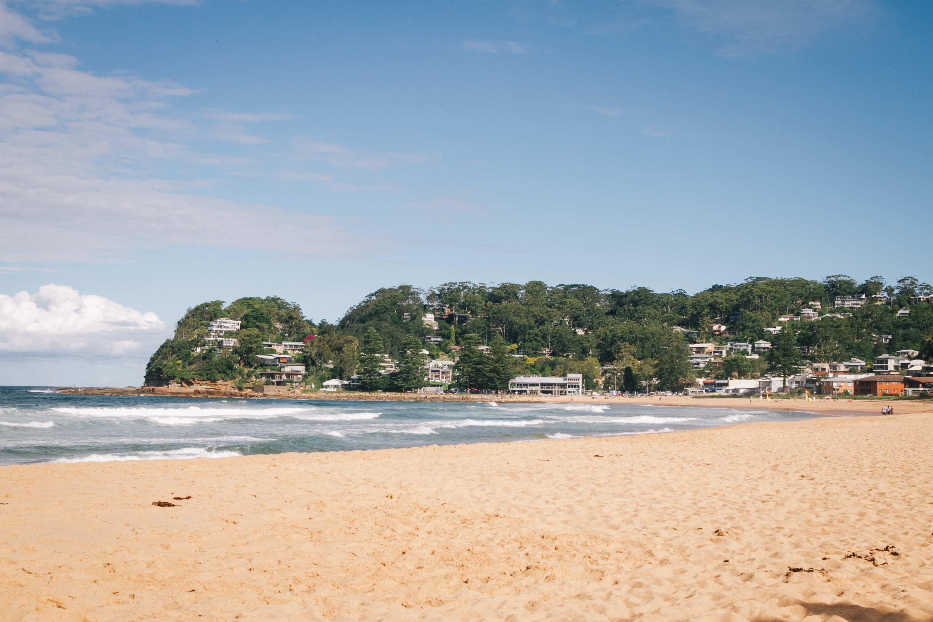 Avoca Beach