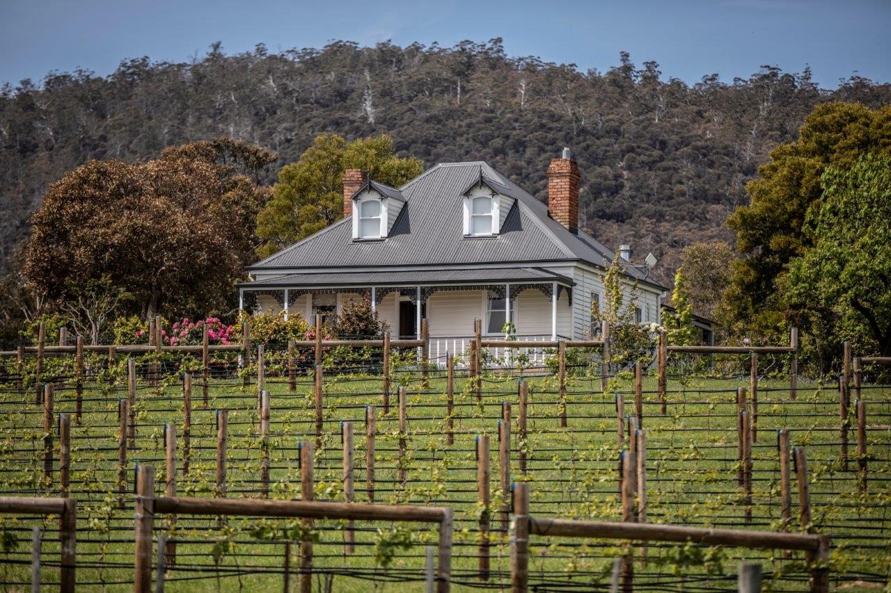 Kate Hill Wines (Image Credit: IG @katehillwines)