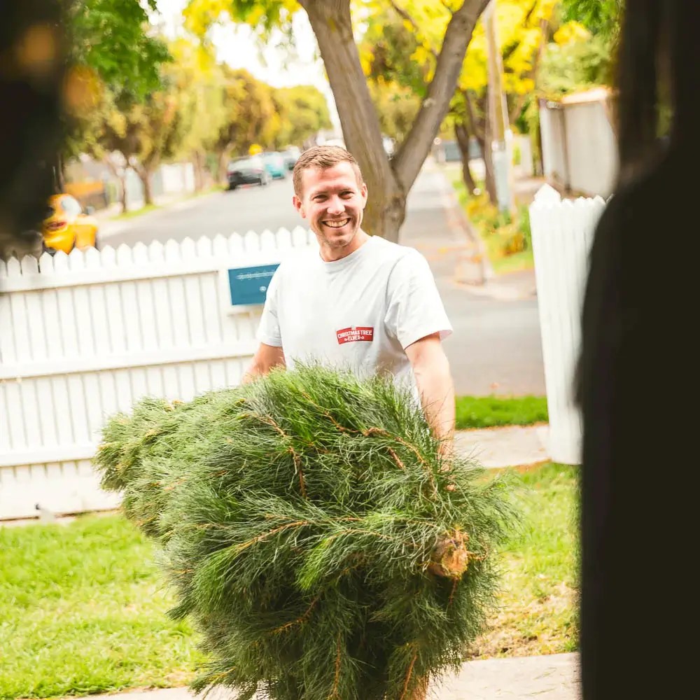 Christmas Tree Elves