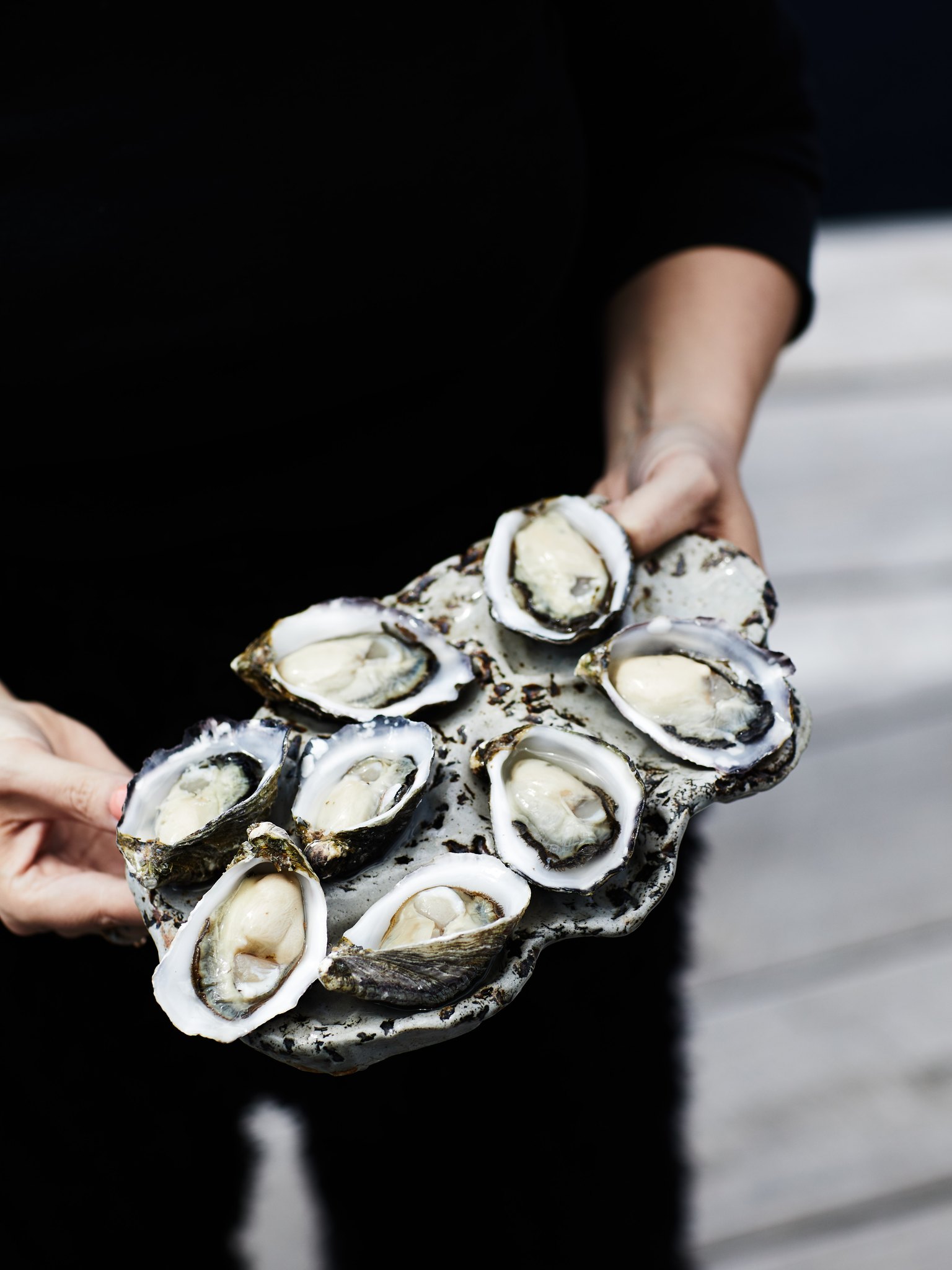 Tarkine Fresh Oysters