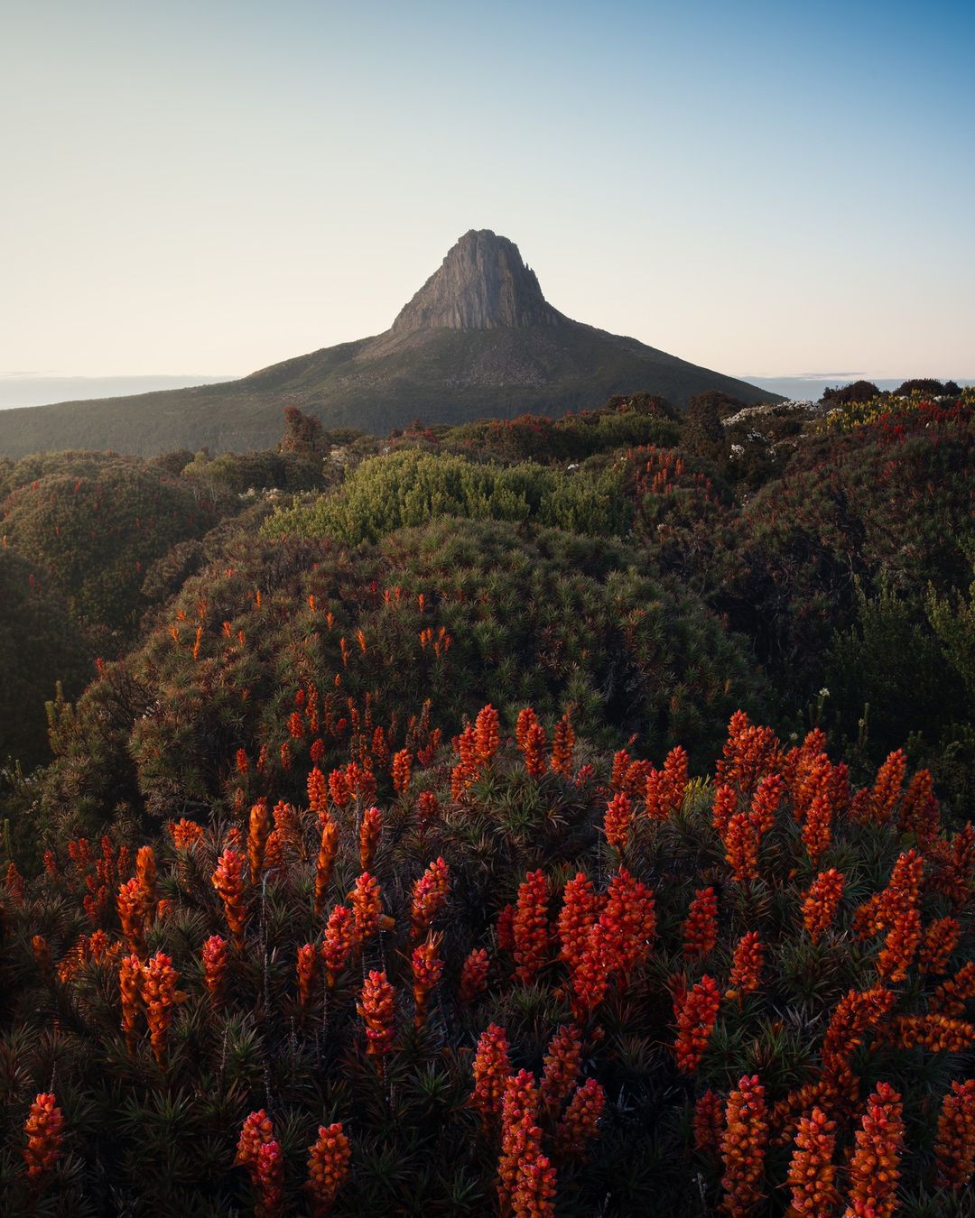 Cradle Mountain National Park (Image Credit: Tim From Tasmania)