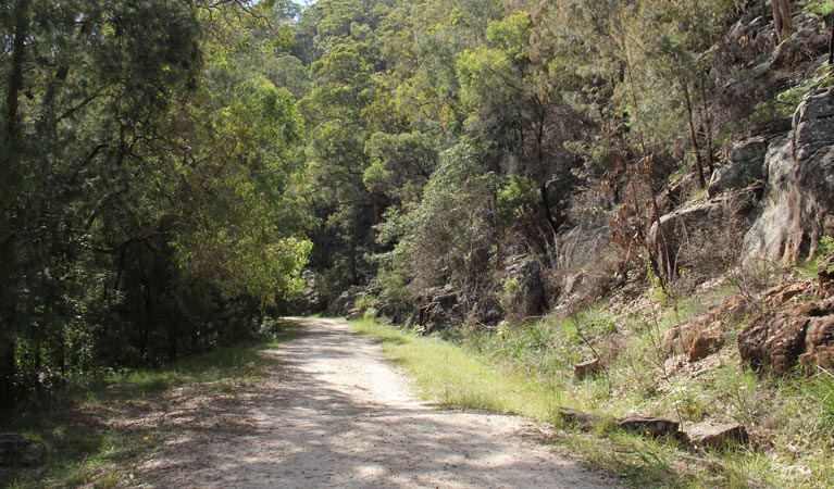 Devines Hill Loop 