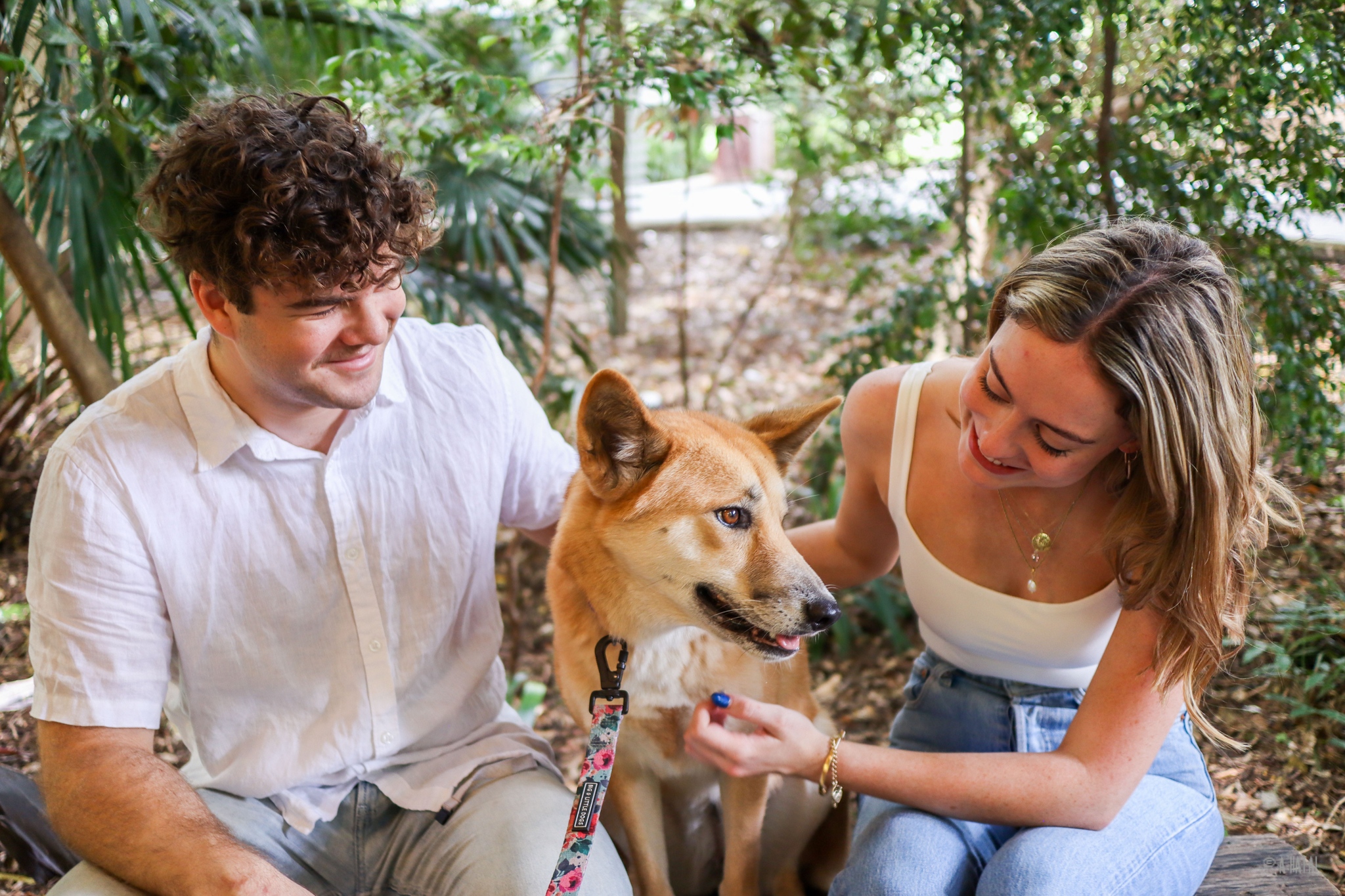 Lone Pine Koala Sanctuary 