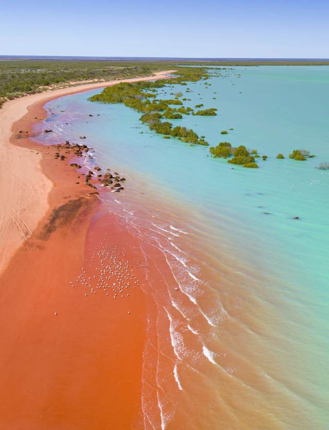 Roebuck Bay (Image Credit: Tourism Western Australia)
