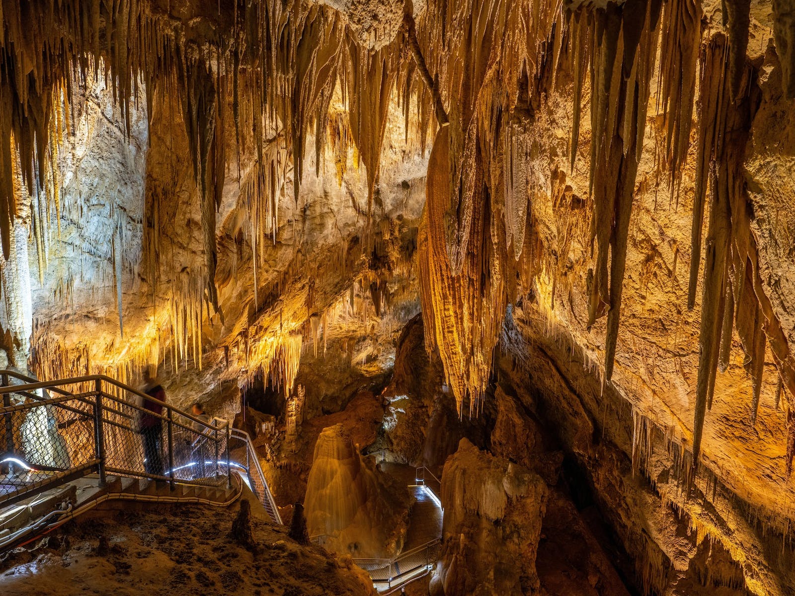 Hastings Caves (Image Credit: Discover Tasmania)