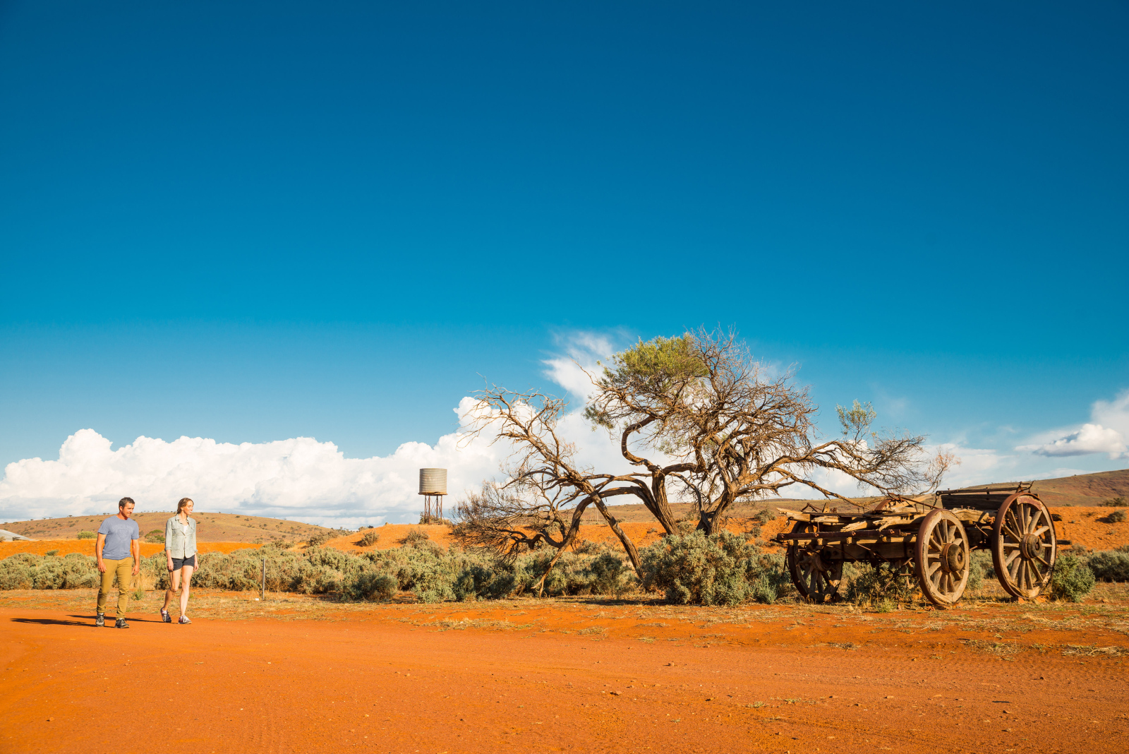 Mt Ive Station (Photo credit: South Australian Tourism Commission & Rob Blackburn)