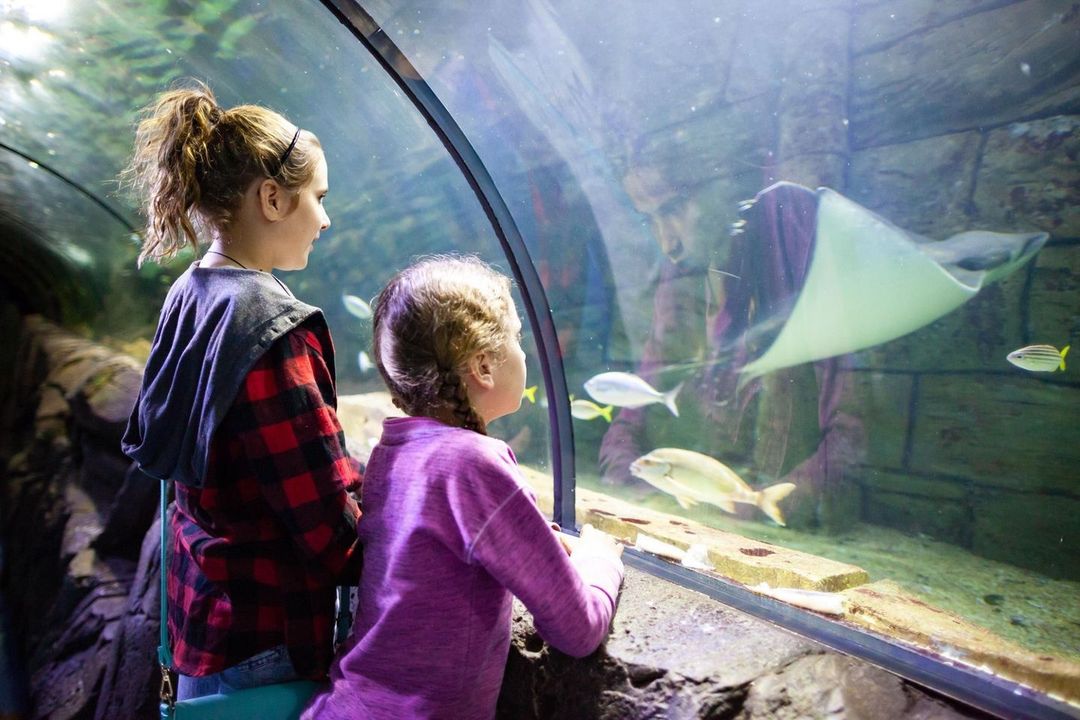 SEA LIFE Sydney Aquarium 