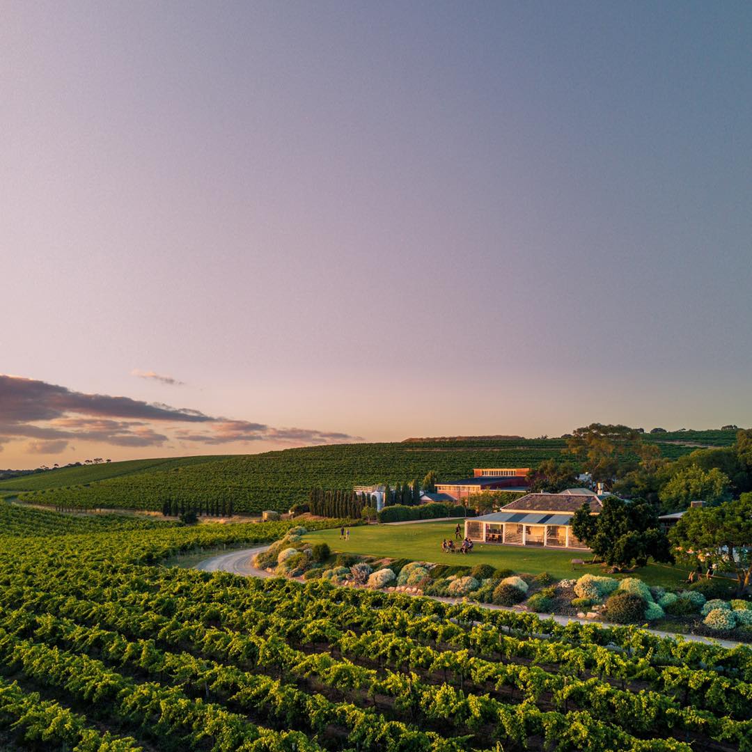 Coriole Vineyards