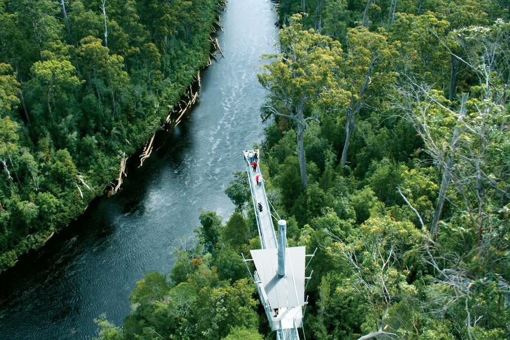 Tahune Airwalk (Image Credit: Tahune Adventures)