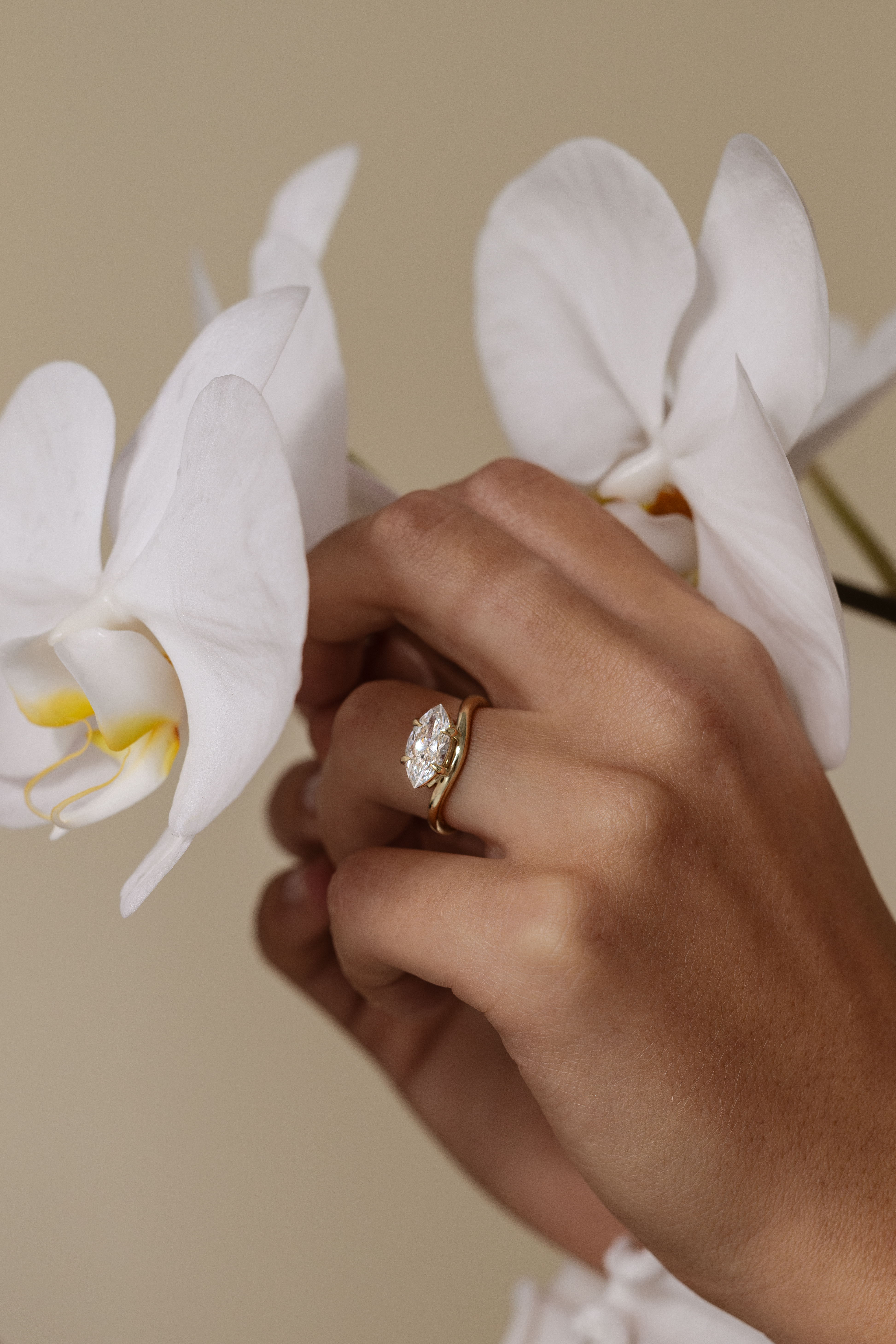 The Moissanite Company